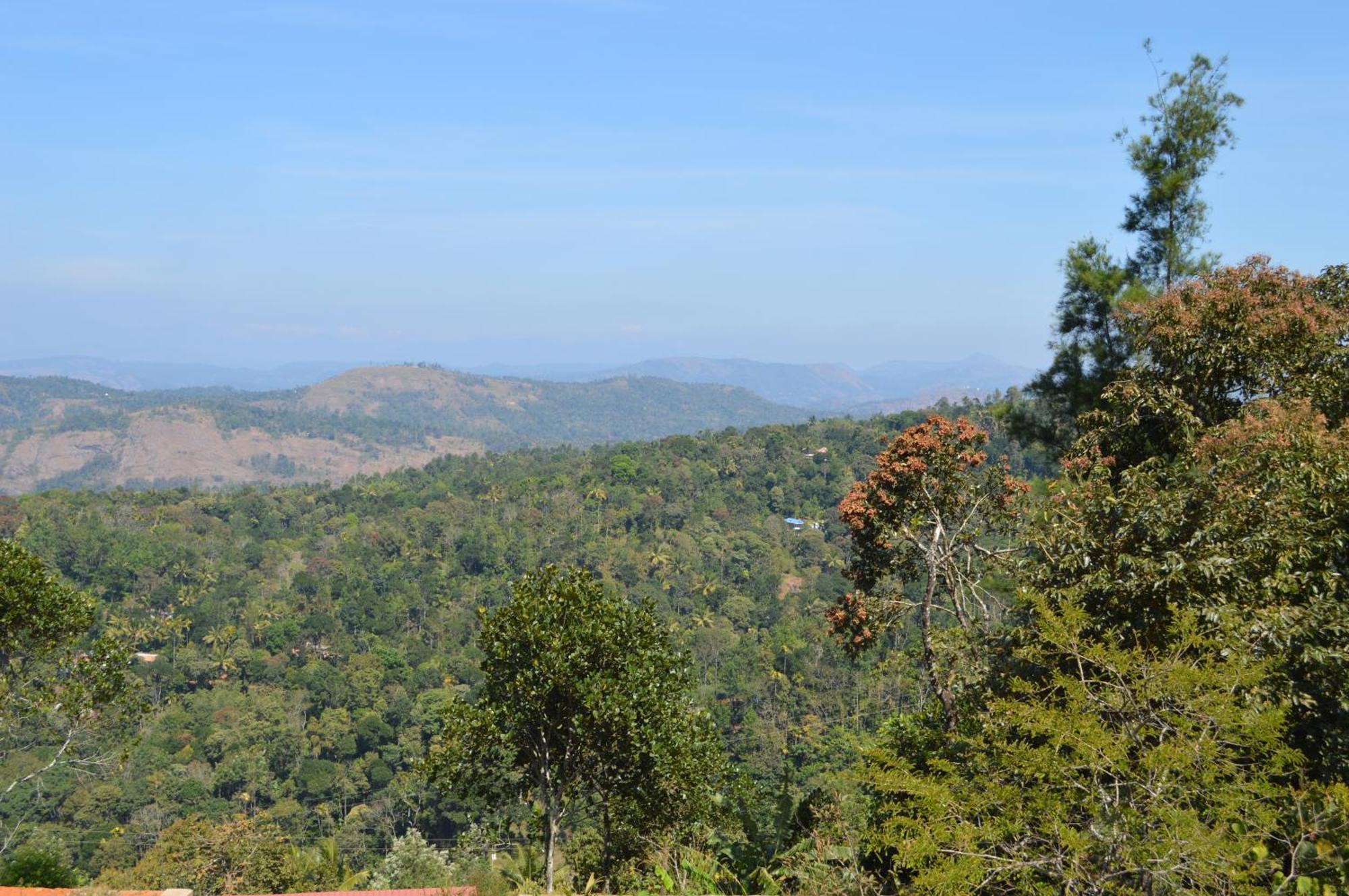 Ashramam Health Resort Kattappana 외부 사진