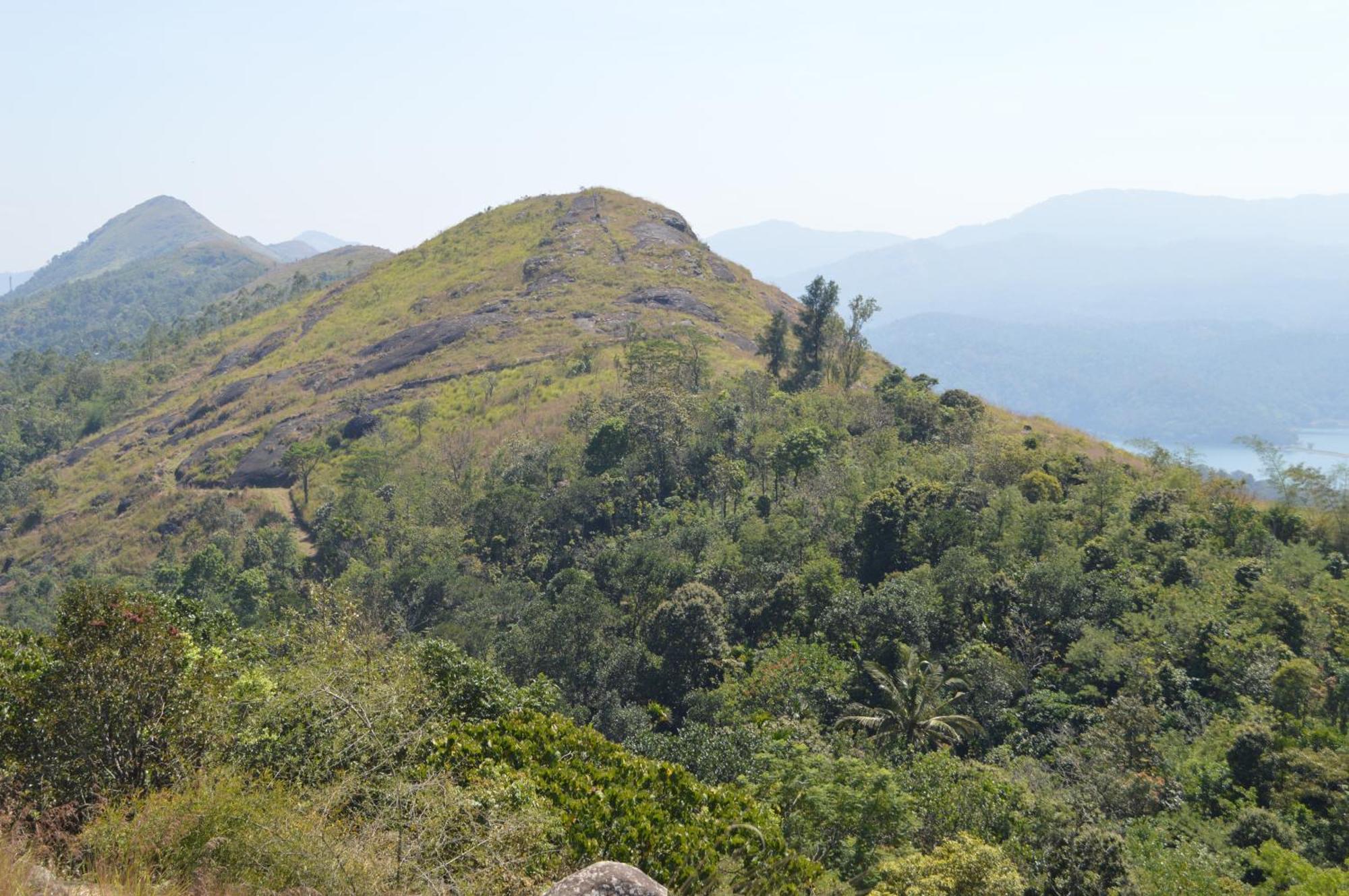 Ashramam Health Resort Kattappana 외부 사진